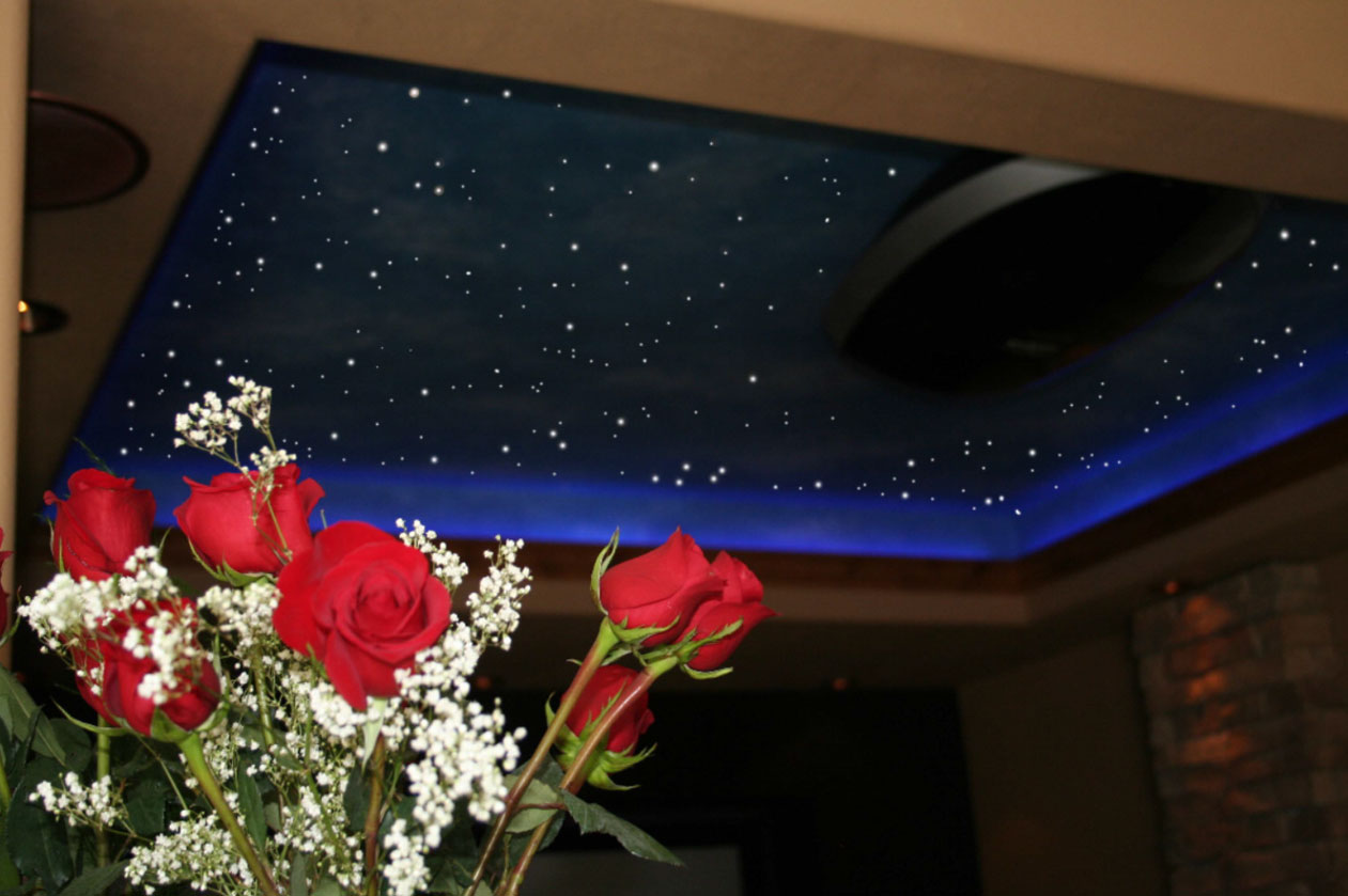 Blue night sky ceiling above red roses